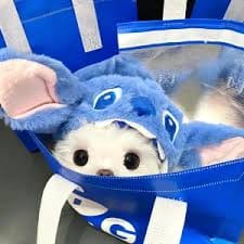 احسان قادری avatar